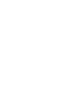 logo Przystanek Góry Szczyrk